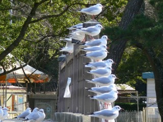 �t���[��
